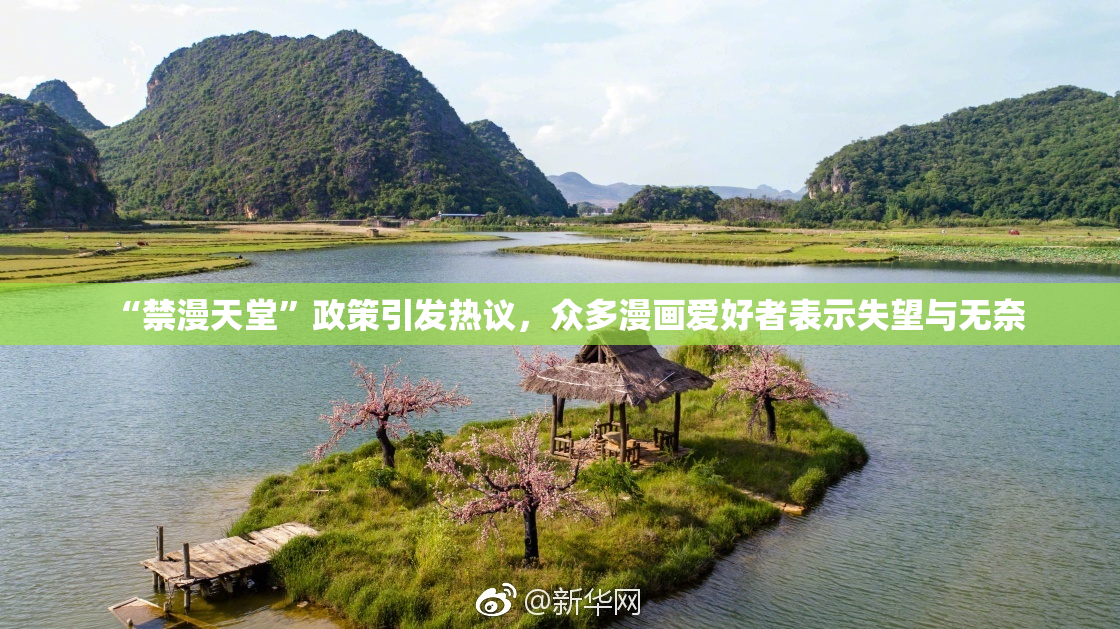 “禁漫天堂”政策引发热议，众多漫画爱好者表示失望与无奈