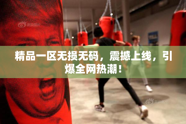 精品一区无损无码，震撼上线，引爆全网热潮！