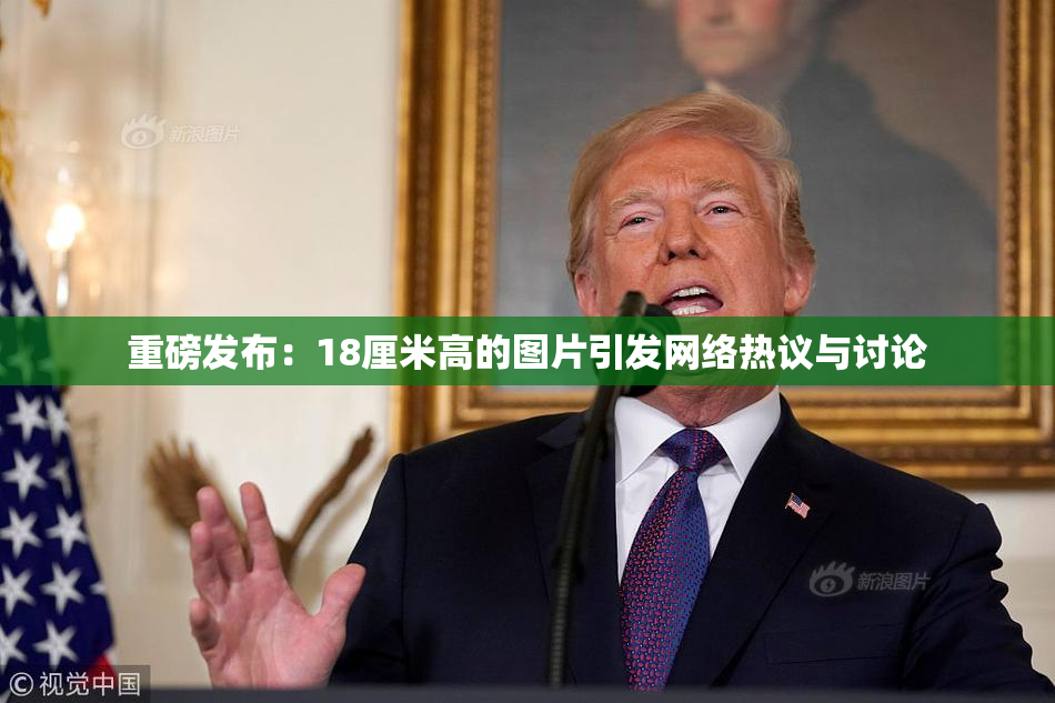 重磅发布：18厘米高的图片引发网络热议与讨论