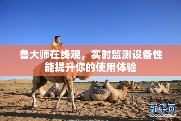鲁大师在线观，实时监测设备性能提升你的使用体验