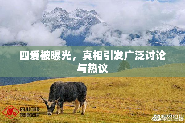 四爱被曝光，真相引发广泛讨论与热议