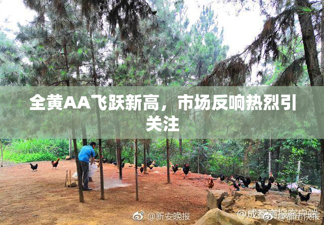 全黄AA飞跃新高，市场反响热烈引关注
