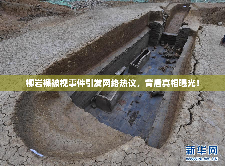 柳岩裸被视事件引发网络热议，背后真相曝光！