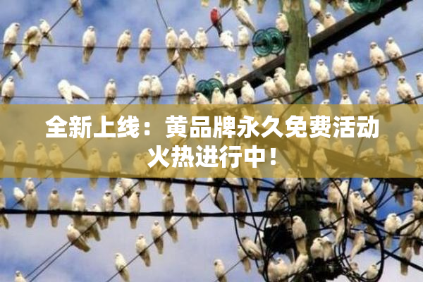 全新上线：黄品牌永久免费活动火热进行中！