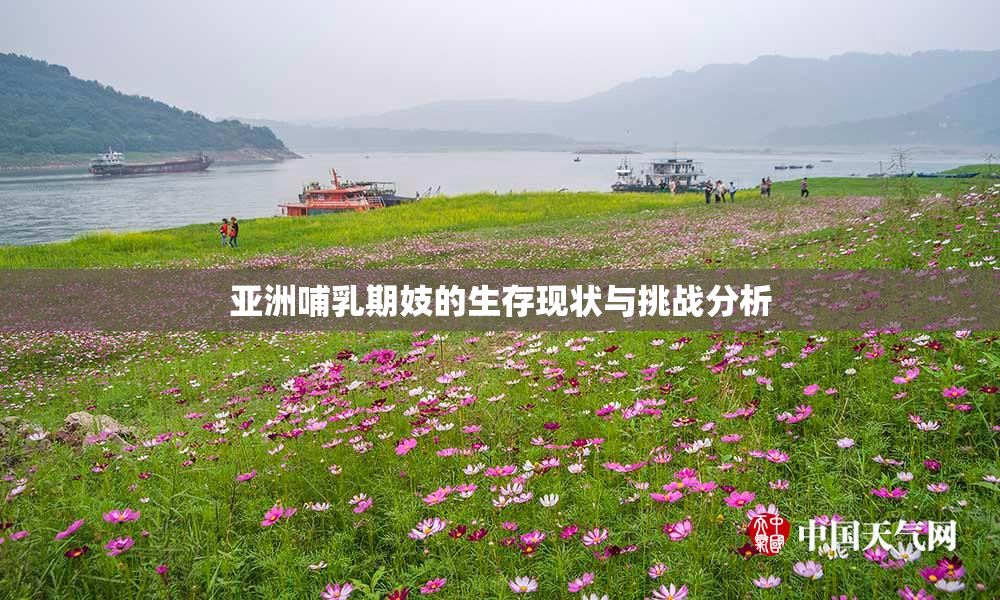 亚洲哺乳期妓的生存现状与挑战分析