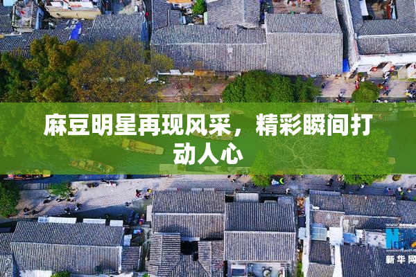 麻豆明星再现风采，精彩瞬间打动人心