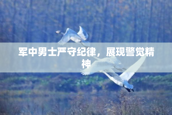 军中男士严守纪律，展现警觉精神