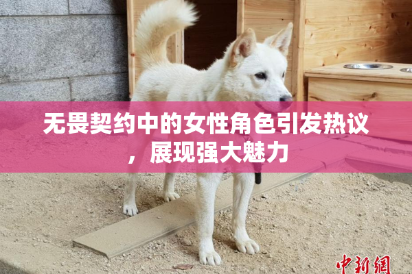 无畏契约中的女性角色引发热议，展现强大魅力
