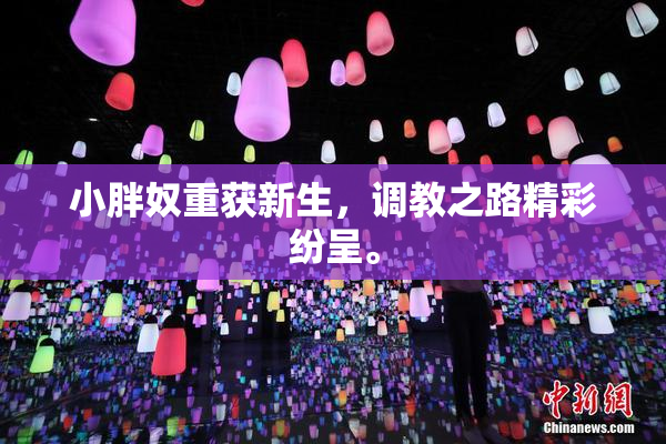 小胖奴重获新生，调教之路精彩纷呈。