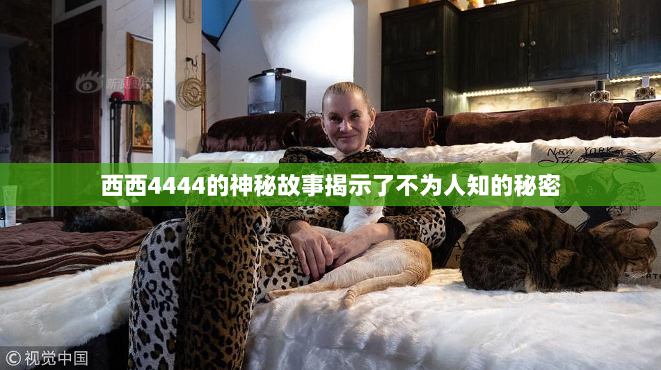 西西4444的神秘故事揭示了不为人知的秘密