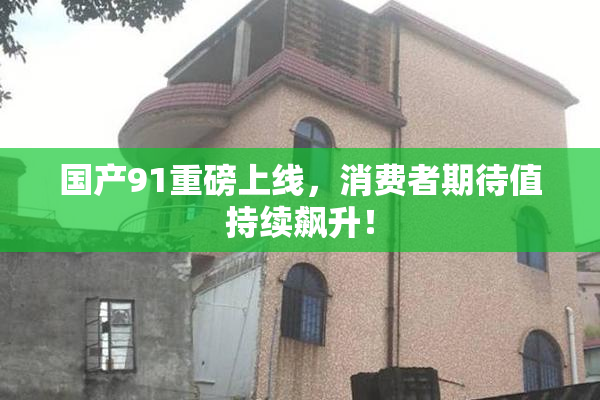 国产91重磅上线，消费者期待值持续飙升！