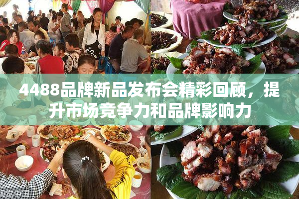 4488品牌新品发布会精彩回顾，提升市场竞争力和品牌影响力