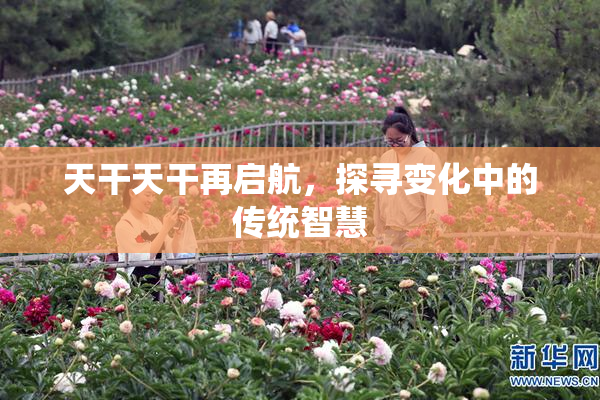 天干天干再启航，探寻变化中的传统智慧
