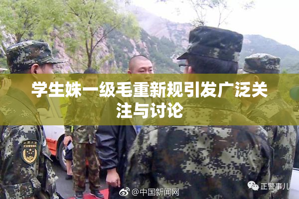 学生姝一级毛重新规引发广泛关注与讨论