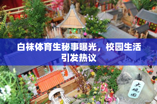 白袜体育生秘事曝光，校园生活引发热议