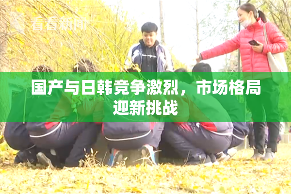 国产与日韩竞争激烈，市场格局迎新挑战