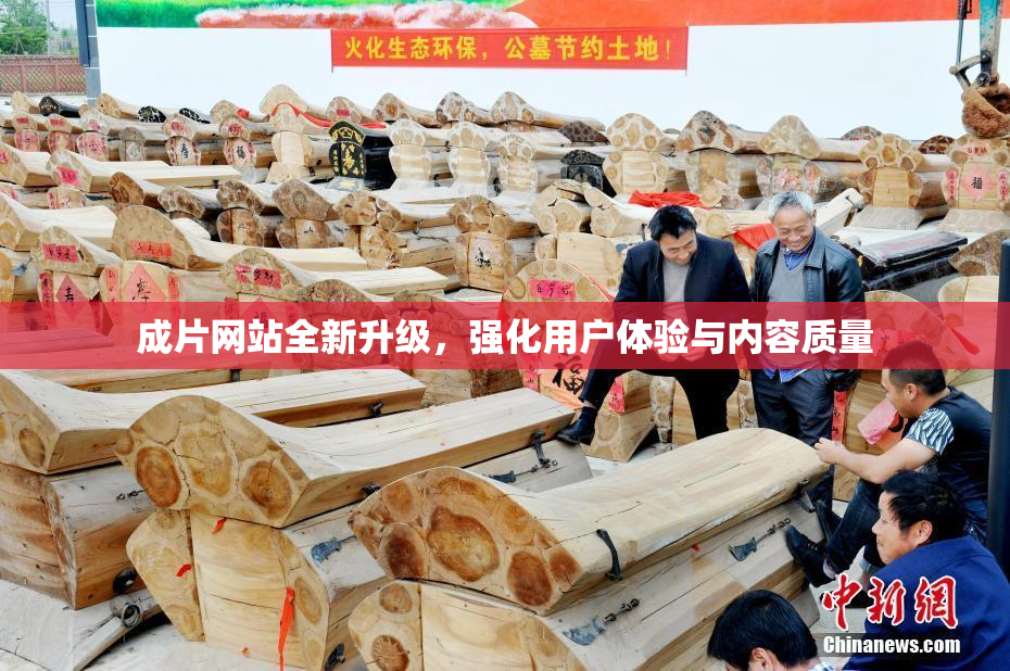 成片网站全新升级，强化用户体验与内容质量