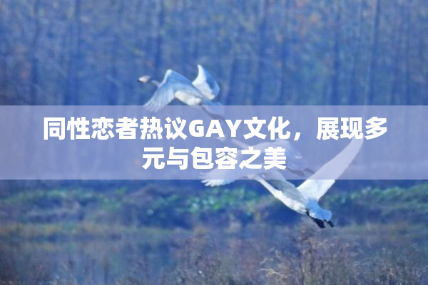 同性恋者热议GAY文化，展现多元与包容之美