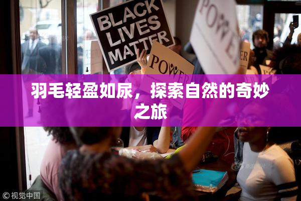 羽毛轻盈如尿，探索自然的奇妙之旅