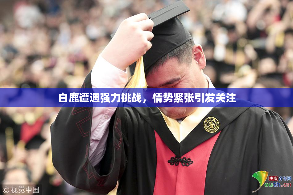 白鹿遭遇强力挑战，情势紧张引发关注