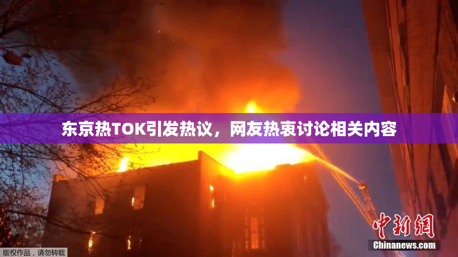 东京热TOK引发热议，网友热衷讨论相关内容