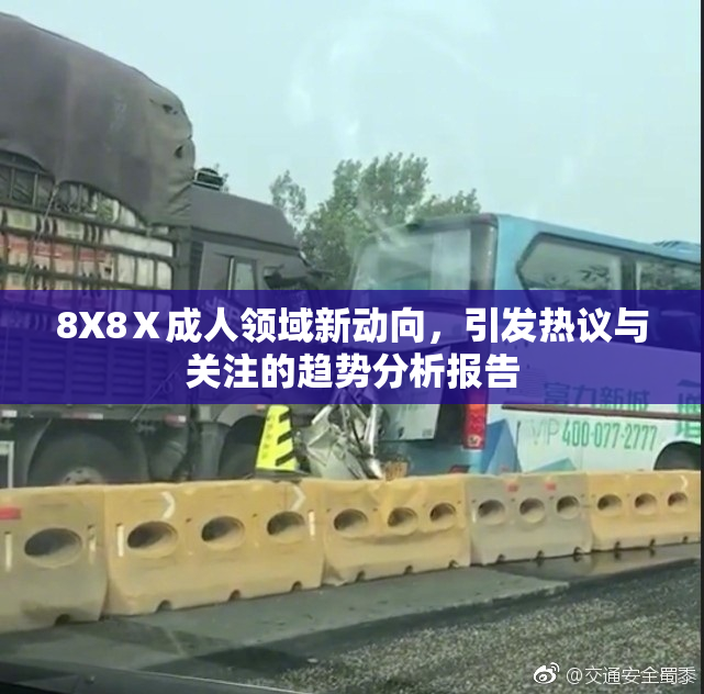 8X8Ⅹ成人领域新动向，引发热议与关注的趋势分析报告