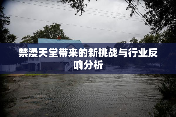 禁漫天堂带来的新挑战与行业反响分析