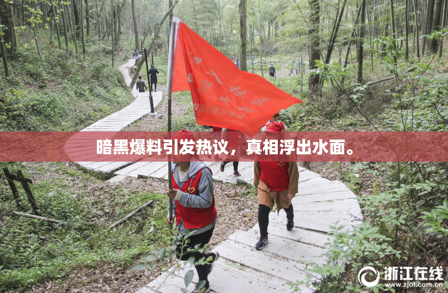 暗黑爆料引发热议，真相浮出水面。