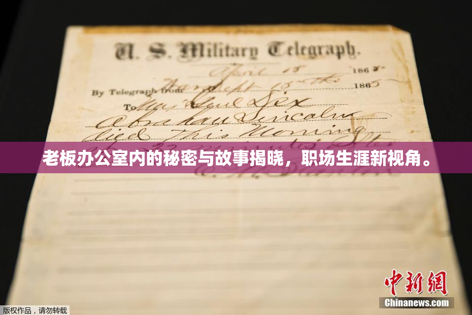 老板办公室内的秘密与故事揭晓，职场生涯新视角。