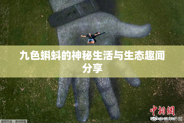 九色蝌蚪的神秘生活与生态趣闻分享