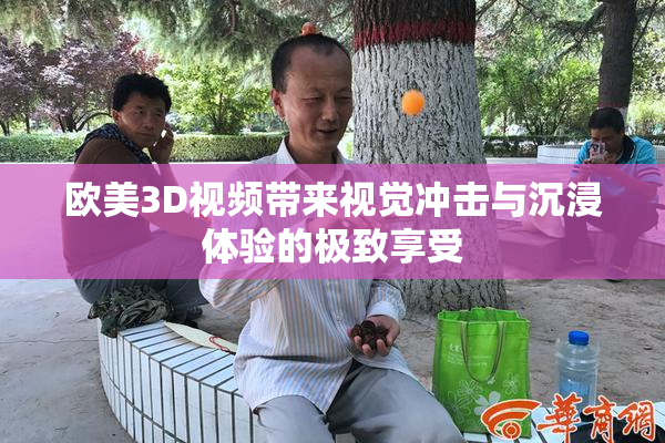 欧美3D视频带来视觉冲击与沉浸体验的极致享受