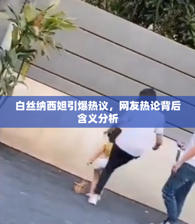 白丝纳西妲引爆热议，网友热论背后含义分析