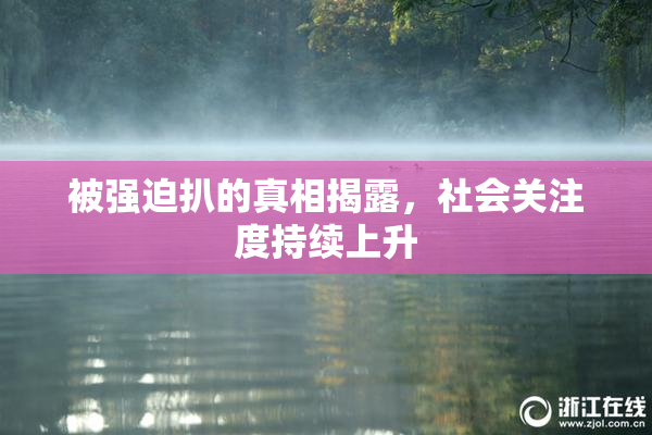 被强迫扒的真相揭露，社会关注度持续上升