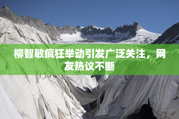 柳智敏疯狂举动引发广泛关注，网友热议不断