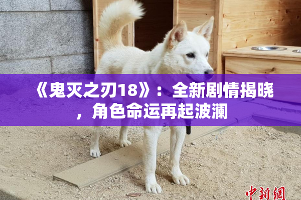 《鬼灭之刃18》：全新剧情揭晓，角色命运再起波澜