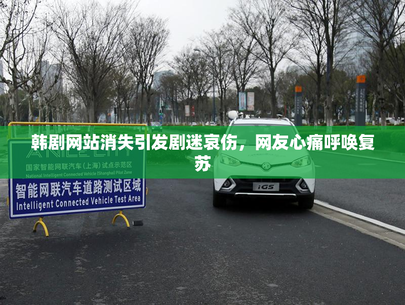 韩剧网站消失引发剧迷哀伤，网友心痛呼唤复苏