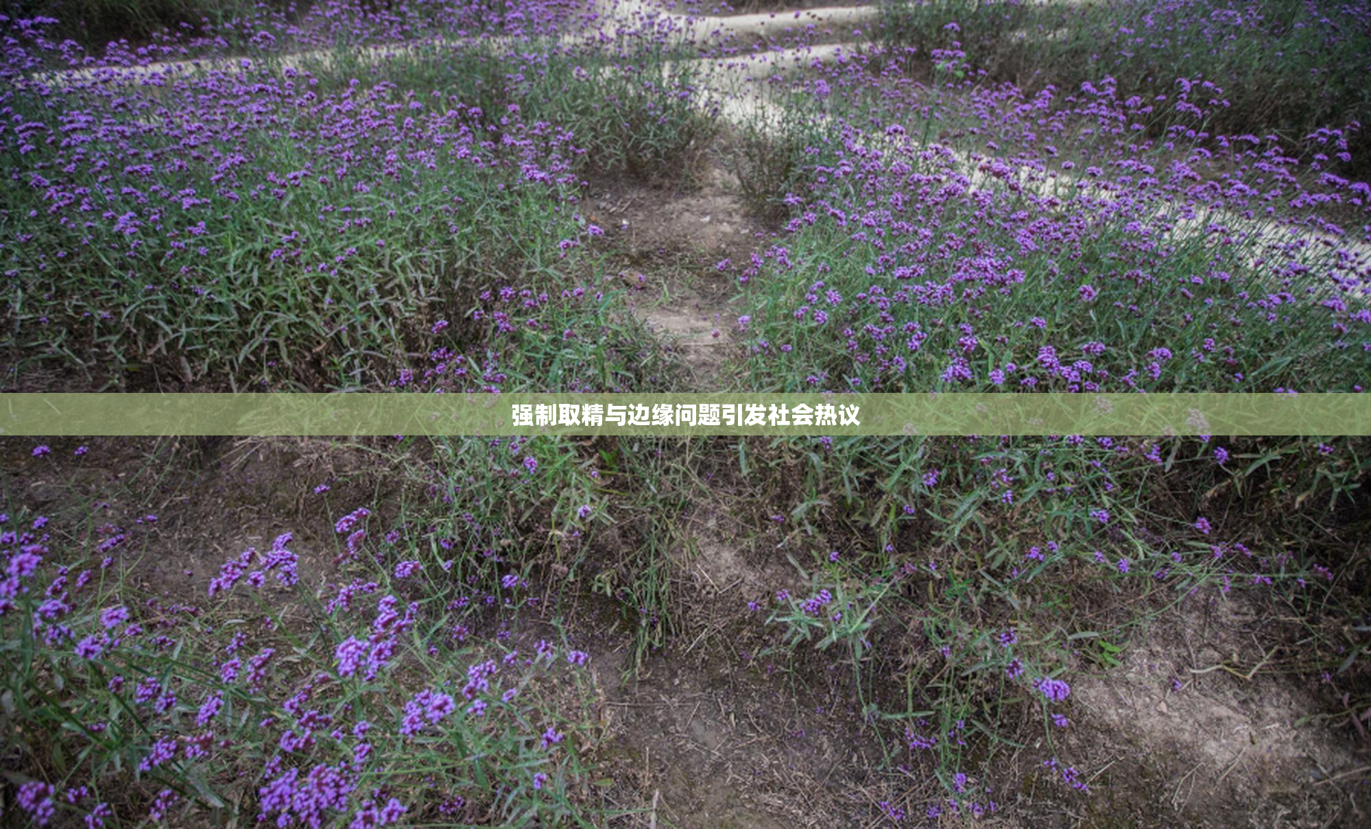 强制取精与边缘问题引发社会热议