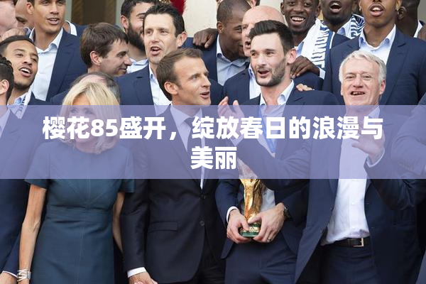 樱花85盛开，绽放春日的浪漫与美丽
