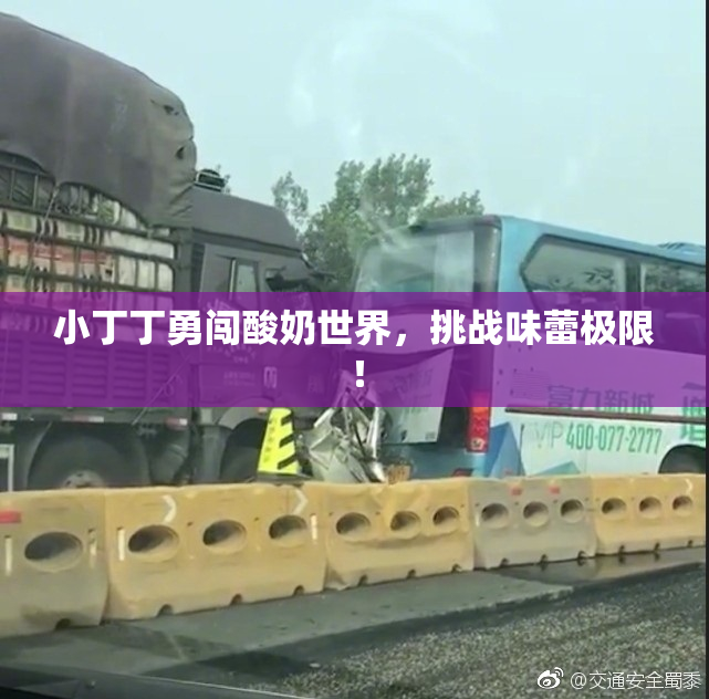 小丁丁勇闯酸奶世界，挑战味蕾极限！