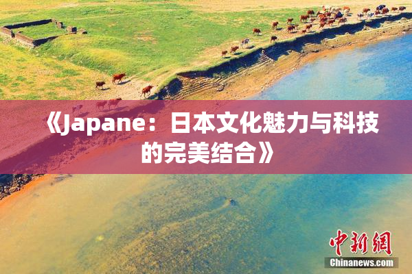 《Japane：日本文化魅力与科技的完美结合》