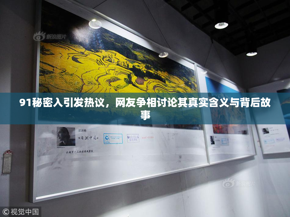 91秘密入引发热议，网友争相讨论其真实含义与背后故事