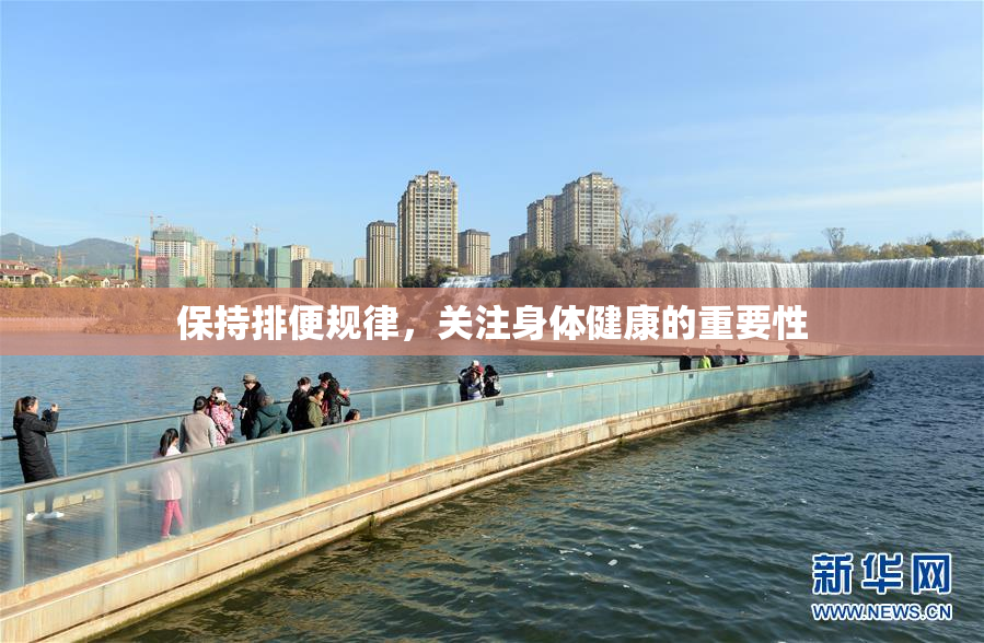 保持排便规律，关注身体健康的重要性
