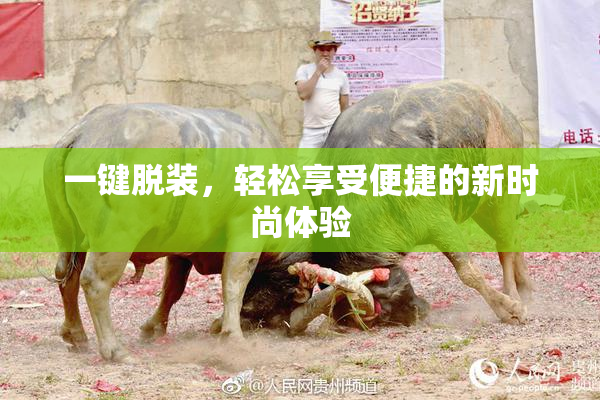 一键脱装，轻松享受便捷的新时尚体验