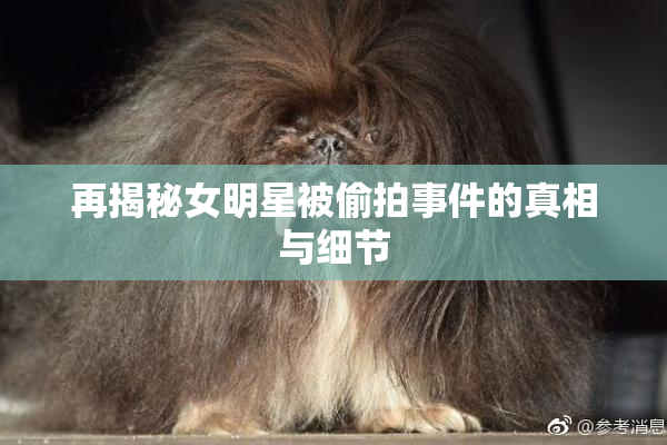 再揭秘女明星被偷拍事件的真相与细节