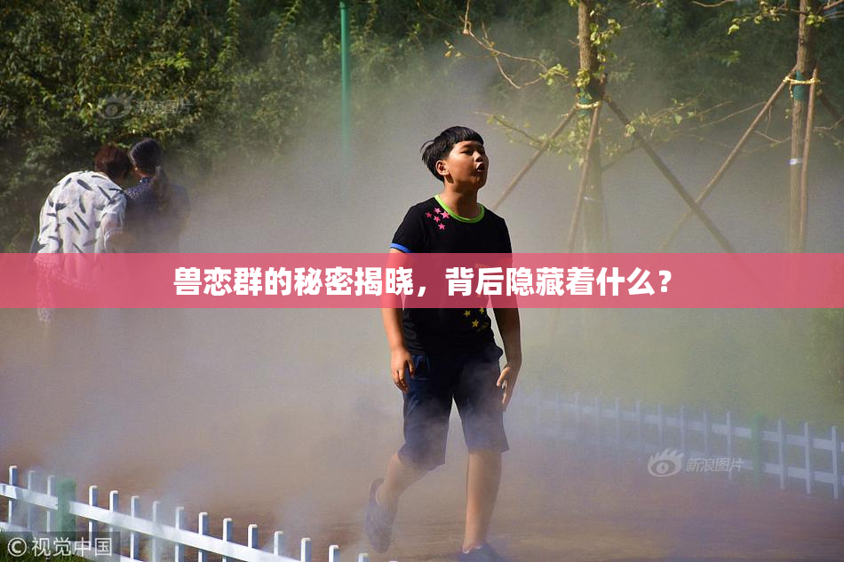 兽恋群的秘密揭晓，背后隐藏着什么？