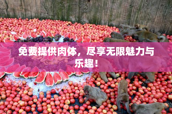 免费提供肉体，尽享无限魅力与乐趣！