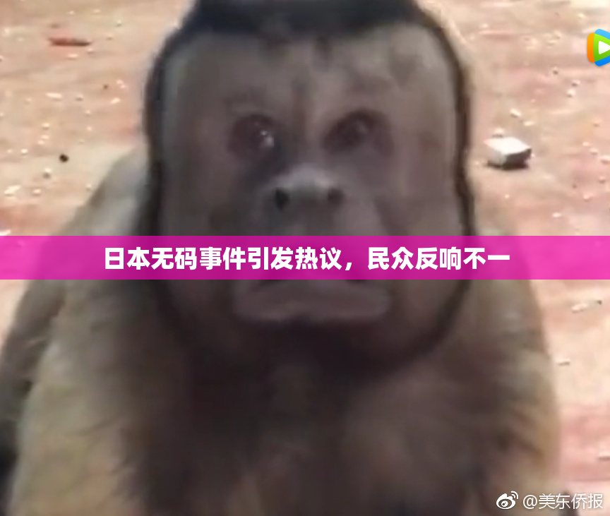 日本无码事件引发热议，民众反响不一
