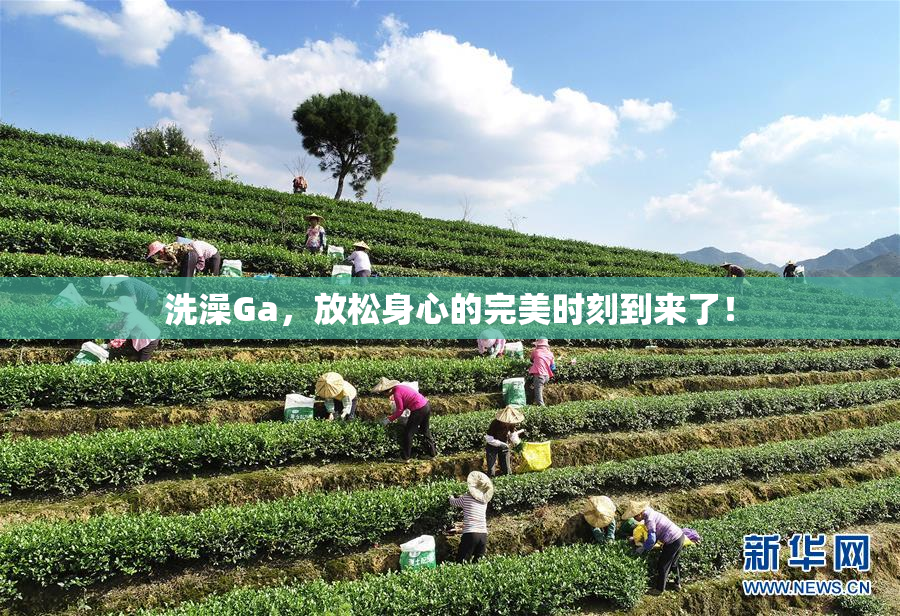 洗澡Ga，放松身心的完美时刻到来了！