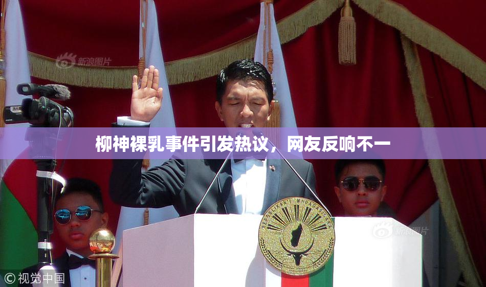 柳神裸乳事件引发热议，网友反响不一