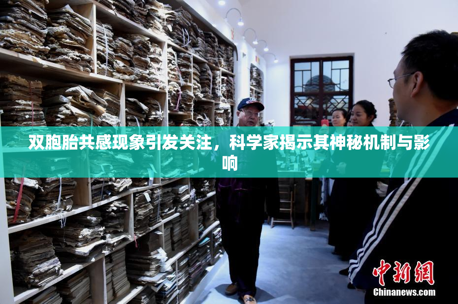 双胞胎共感现象引发关注，科学家揭示其神秘机制与影响